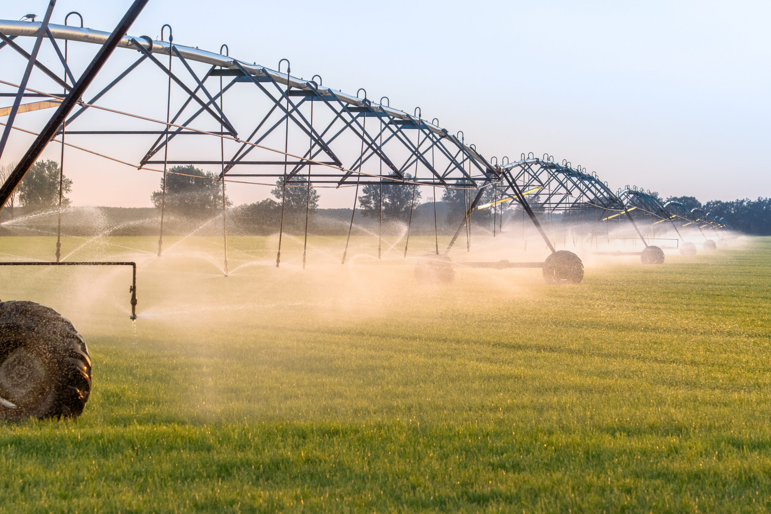 Food & Agriculture